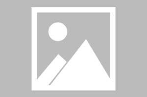 【民办本科大学有哪些/武汉民办本科大学有哪些】